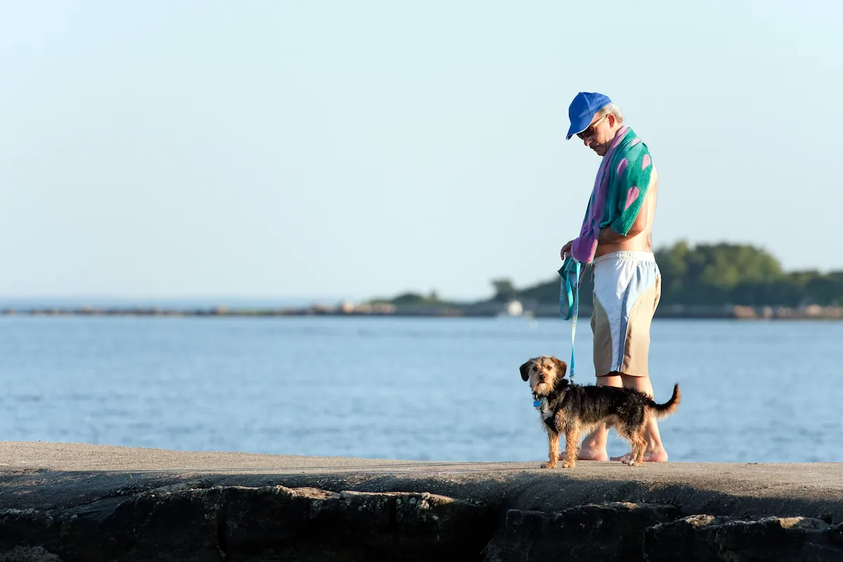 The Benefits Of Taking Long Walks