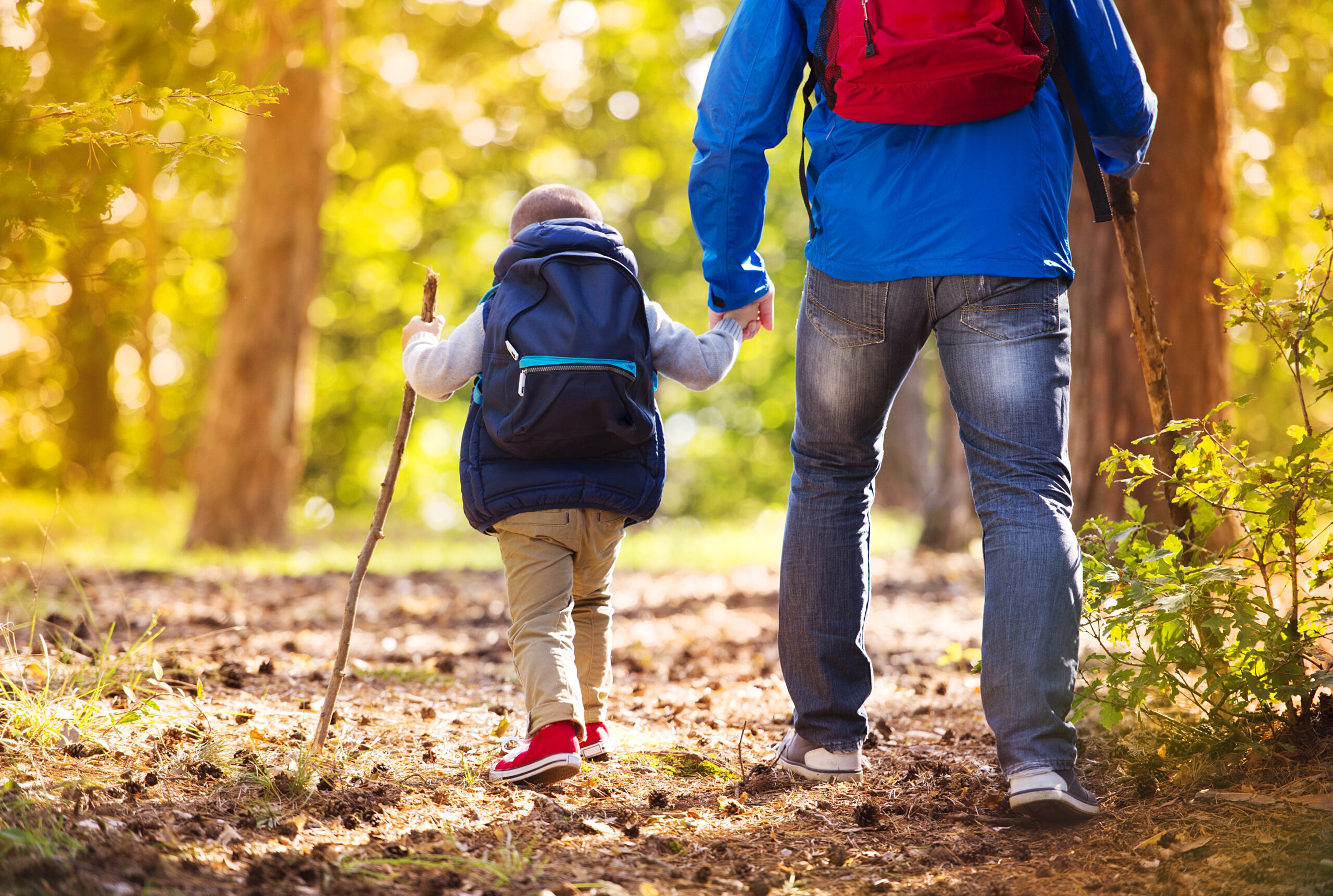 Hit The Trail With Confidence: 20 Essential Safety Tips For Hiking To Stay Safe and Enjoy Your Outdoor Adventures